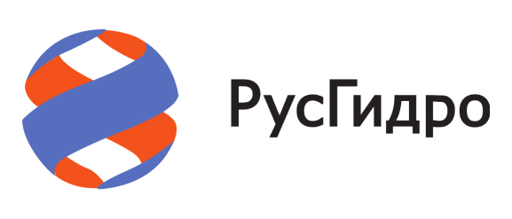 RPA в энергетическом холдинге РусГидро