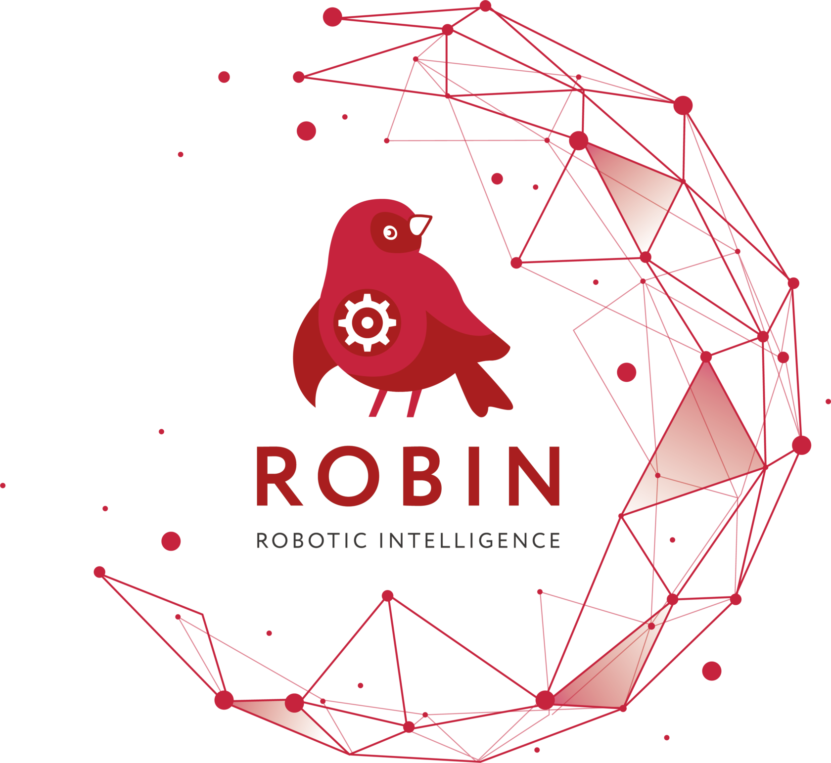 Умные роботы ROBIN: больше чем роботизация